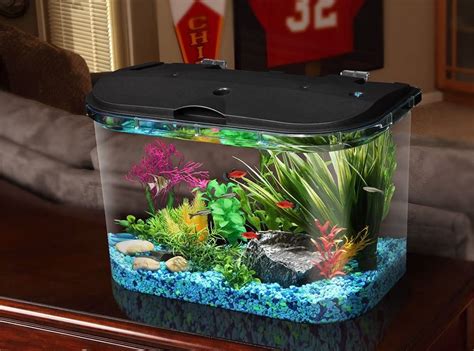 Enjoy virtual free fish tank, both freshwater and saltwater 3D aquariums. . Fish tank for free